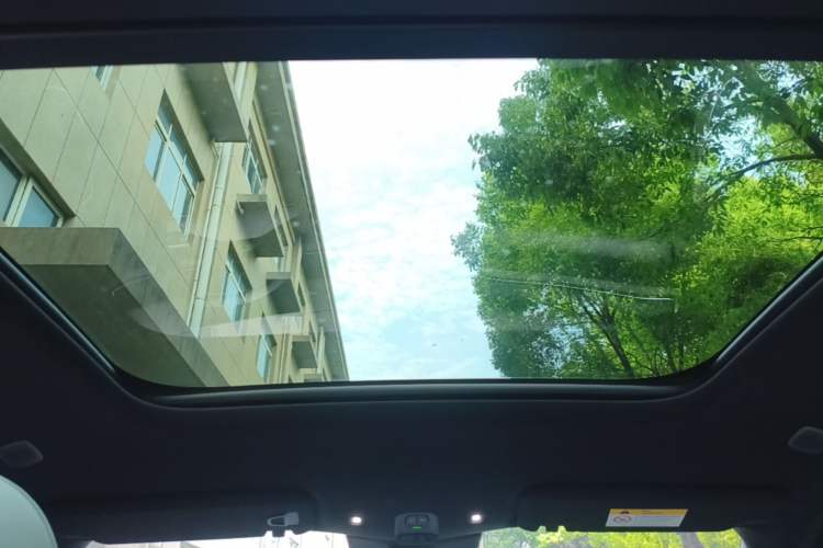 Used Nio ES6 2025 Model 100kWh 300,000th Anniversary Edition Headliner