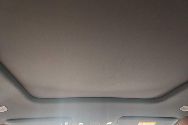 Used Nio ES6 2025 Model 100kWh 300,000th Anniversary Edition Headliner