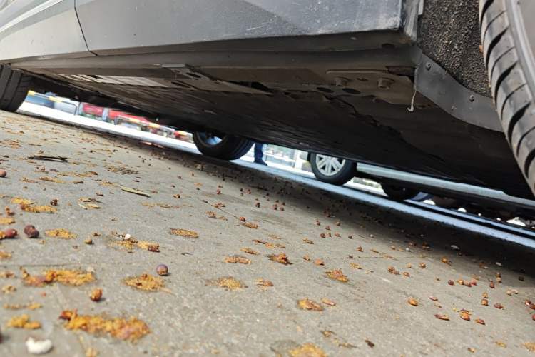 Used Nio ES7 2022 100kWh First Edition Chassis Rear Left