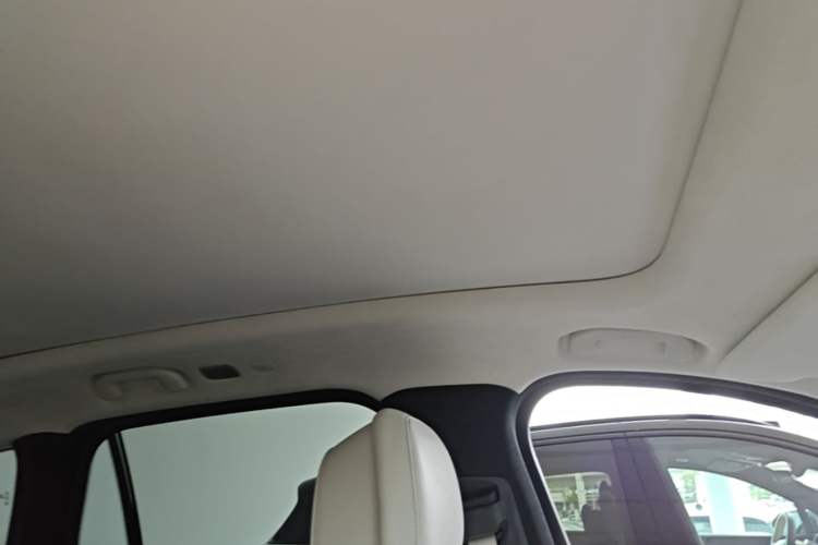 Used Nio ES7 2022 100kWh First Edition Headliner