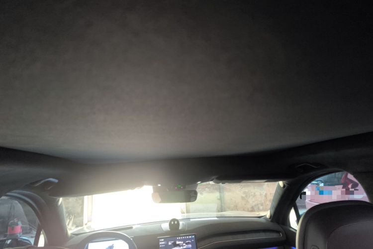 Used Nio ES7 2022 100kWh First Edition Headliner