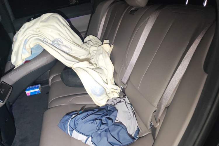 Used Nio ES7 2022 75 kWh Left Rear Seat