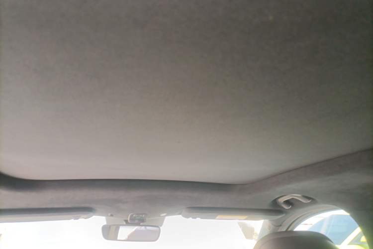 Used Nio ES7 2022 100kWh First Edition Headliner