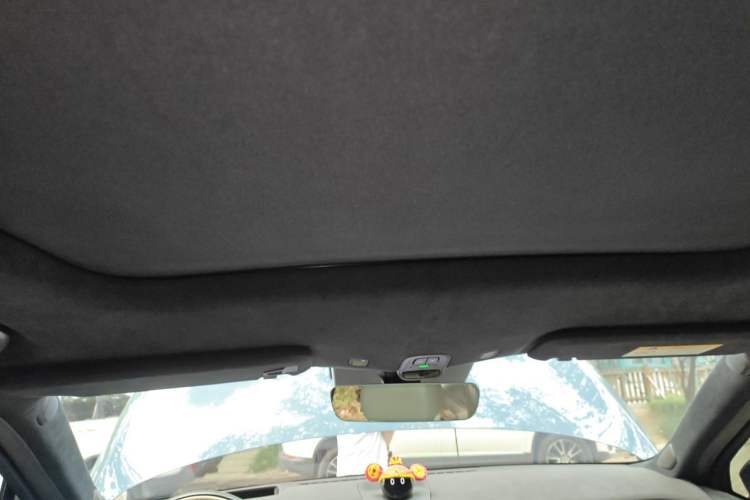 Used Nio ES7 2022 100kWh First Edition Headliner