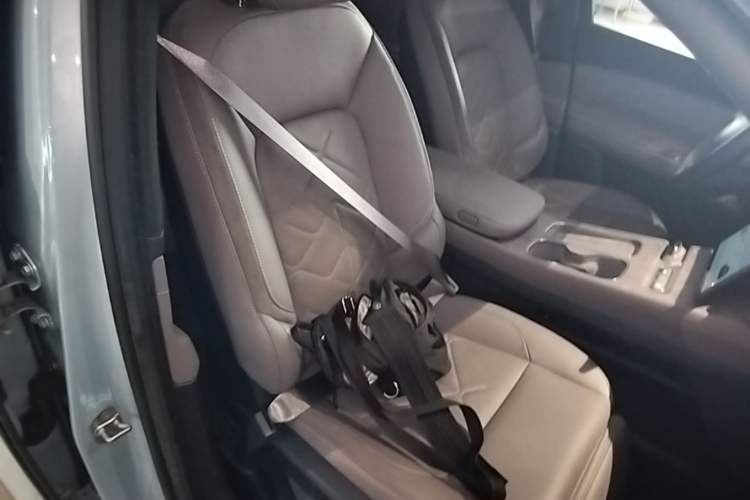 Used Nio ES7 2022 100kWh First Edition Right Front Seat