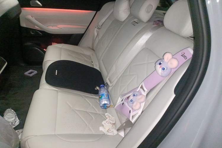 Used Nio ES7 2022 100kWh First Edition Left Rear Seat
