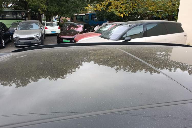 Used Nio ES7 2022 100kWh First Edition Roof