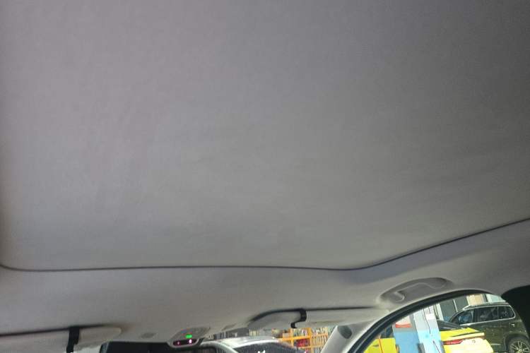 Used Nio ES7 2022 100kWh First Edition Headliner
