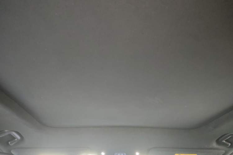Used Nio ES7 2022 100kWh First Edition Headliner