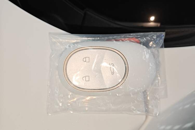 Used Nio ES7 2024 100kWh Vehicle Key