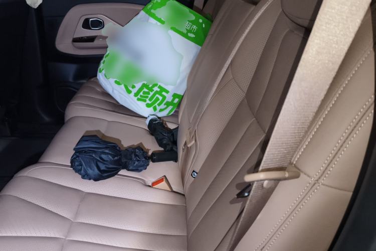 Used Nio ES8 2018 Founder Edition Left Rear Seat