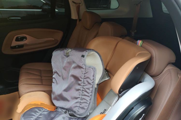 Used Nio ES8 2018 Founder Edition Left Rear Seat