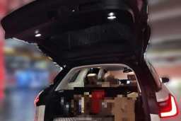 Thumbnail 20