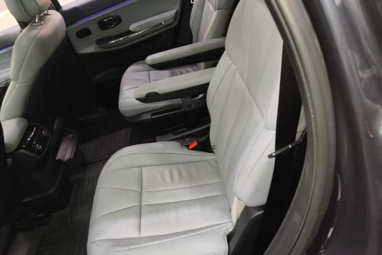 Used Nio ES8 2020 415 km Signature Edition 6-Seater Version Left Rear Seat