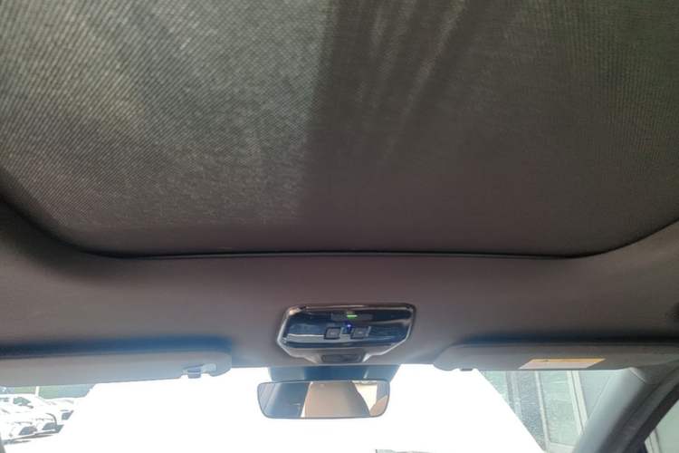 Used Nio ES8 2020 415 km Range 7-Seater Version Headliner
