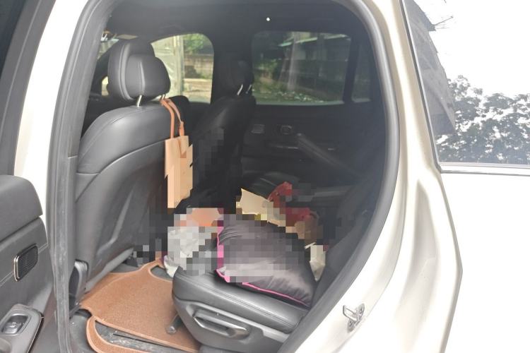Used Nio ES8 2020 415 km Signature Edition 6-Seater Version Left Rear Seat