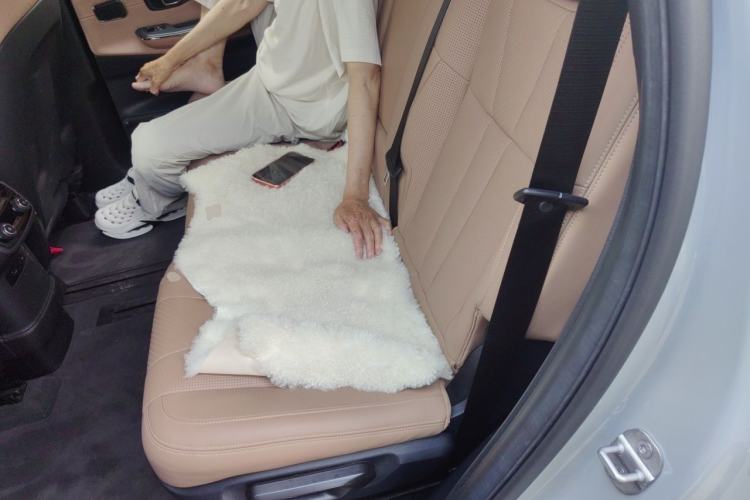 Used Nio ES8 2022 100 kWh 7-Seater Version Left Rear Seat
