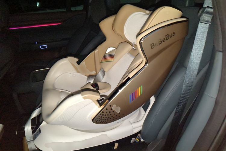 Used Nio ES8 2023 100kWh Signature Edition Left Rear Seat