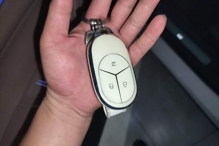Used Nio ES8 2023 75 kWh Vehicle Key