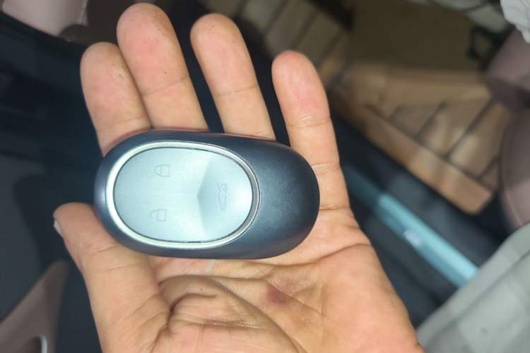 Used Nio ES8 2024 75 kWh Vehicle Key