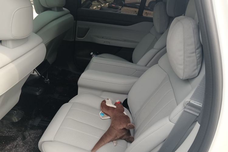 Used Nio ES8 2024 100kWh Left Rear Seat