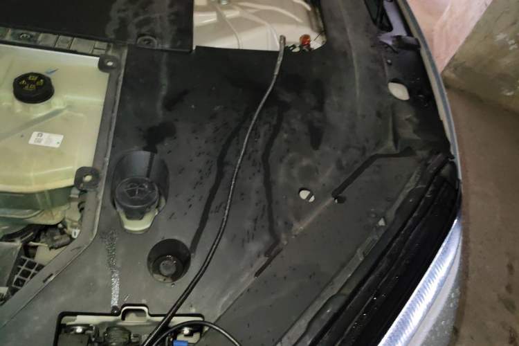 Used Nio ET5 2022 75 kWh Engine Bay Left