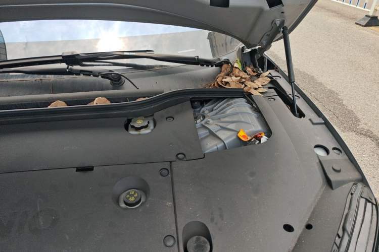 Used Nio ET5 2024 75 kWh Engine Bay Left