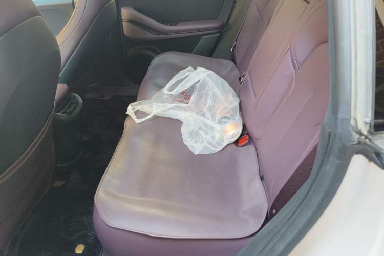 Used Nio ET5 2024 75 kWh Left Rear Seat