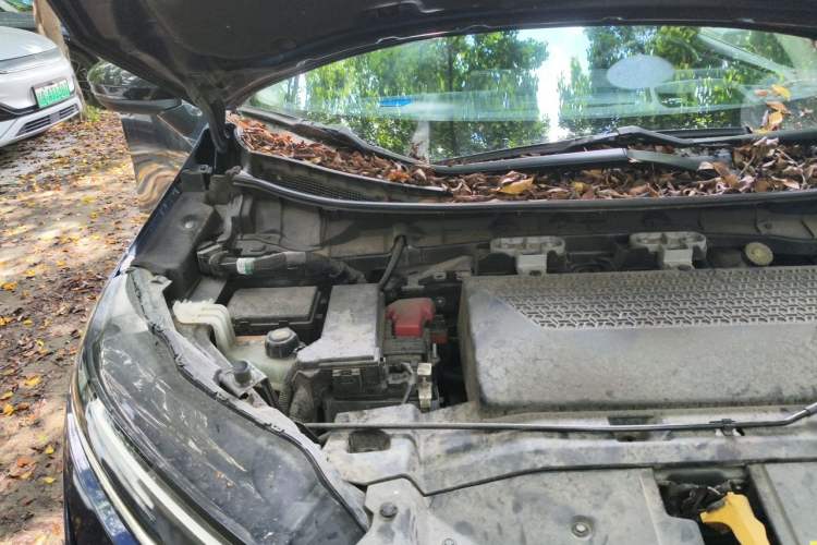 Used Nissan ARIYA 2022 Four-Wheel-Drive High-Performance Top-Tier Model Engine Bay Right