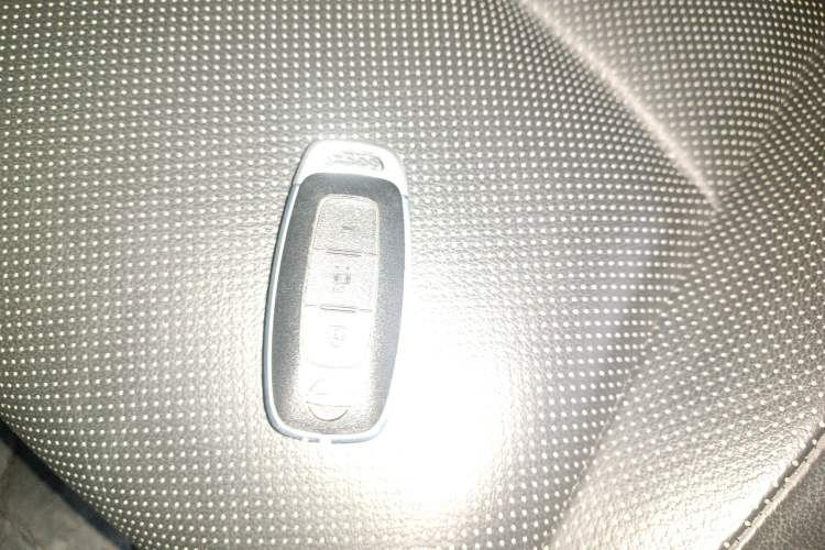 Used Nissan ARIYA 2022 Two-Wheel Drive Long Range Top-Tier Version Vehicle Key