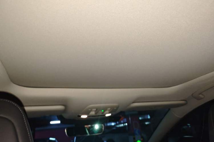 Used Nissan ARIYA 2022 Two-Wheel Drive Long Range Top-Tier Version Headliner