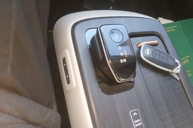 Used Nissan ARIYA 2022 Two-Wheel Drive Long-Range Version Gear Lever