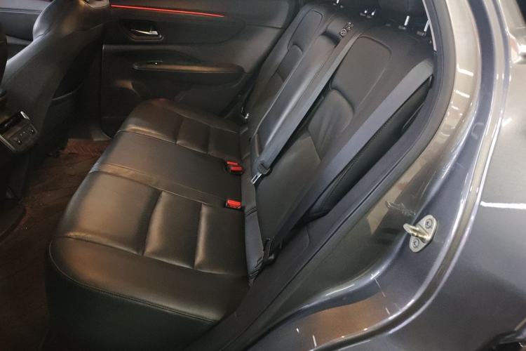 Used Nissan ARIYA 2022 Two-Wheel Drive Long Range Top-Tier Version Left Rear Seat