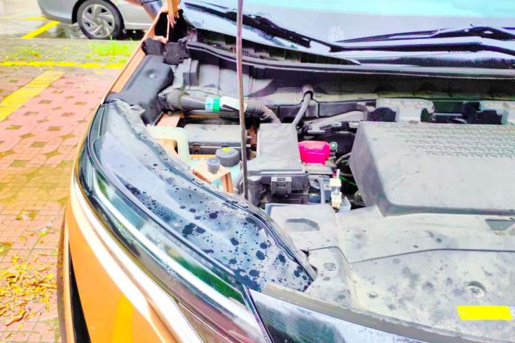 Used Nissan ARIYA 2022 Two-Wheel Drive Long Range Top-Tier Version Engine Bay Right