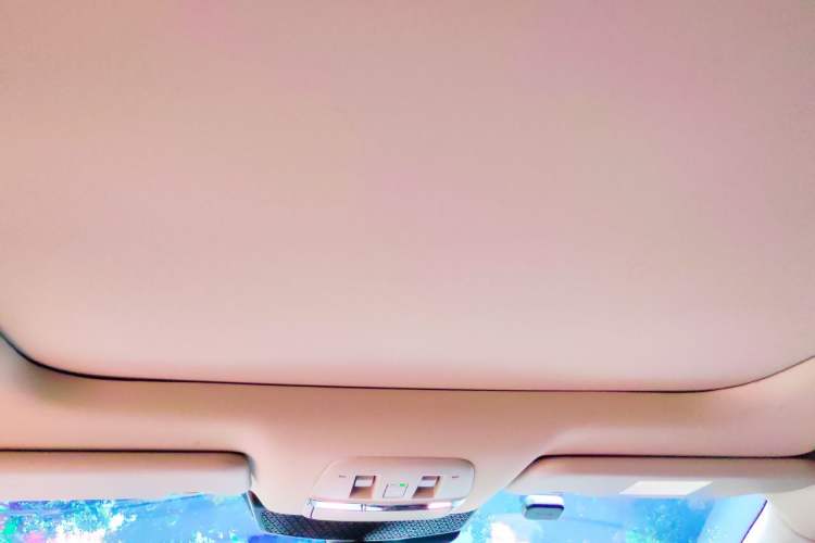 Used Nissan ARIYA 2022 Two-Wheel Drive Long Range Top-Tier Version Headliner