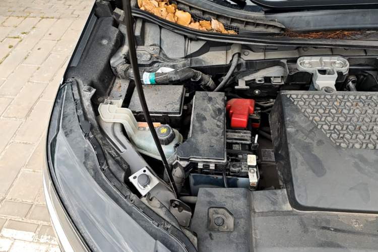 Used Nissan ARIYA 2022 Two-Wheel Drive Long Range Top-Tier Version Engine Bay Right