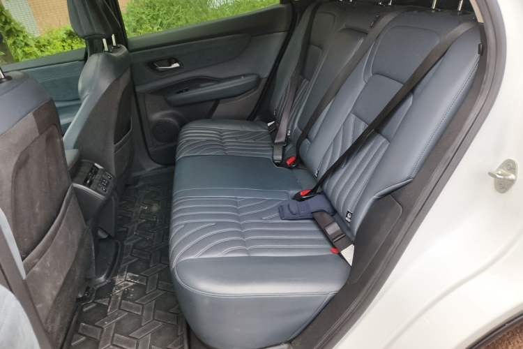 Used Nissan ARIYA 2022 Four-Wheel-Drive High-Performance Top-Tier Model Left Rear Seat