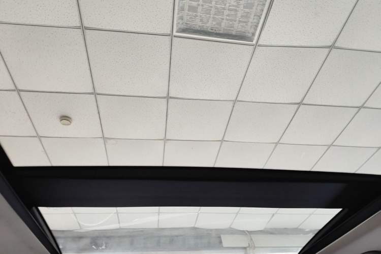 Used Nissan ARIYA 2022 Two-Wheel Drive Long-Range Version Headliner