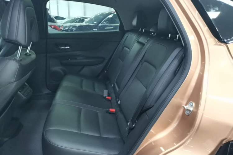 Used Nissan ARIYA 2022 Two-Wheel Drive Long Range Top-Tier Version Left Rear Seat