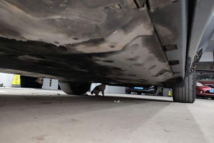 Used Nissan ARIYA 2022 Two-Wheel Drive Long Range Top-Tier Version Left Side Sill