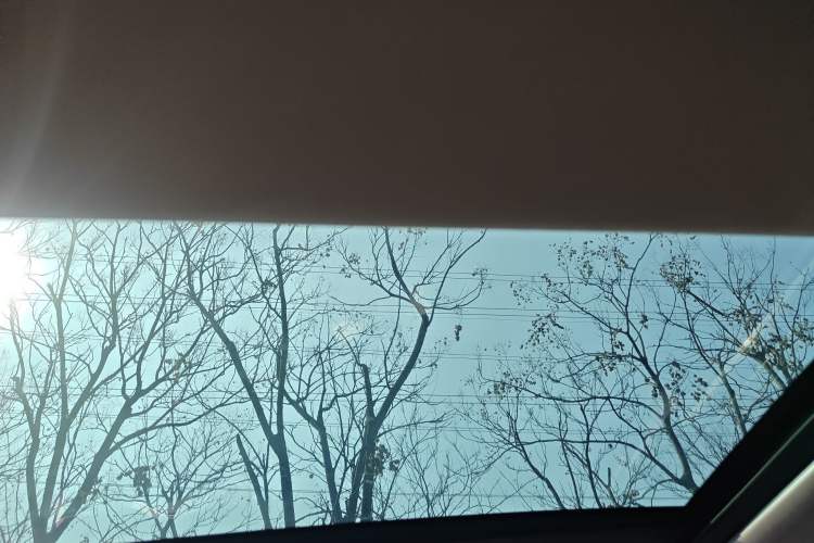 Used Nissan ARIYA 2023 600 Headliner