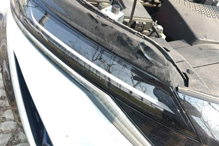 Used Nissan ARIYA 2023 600 Right Front Headlight