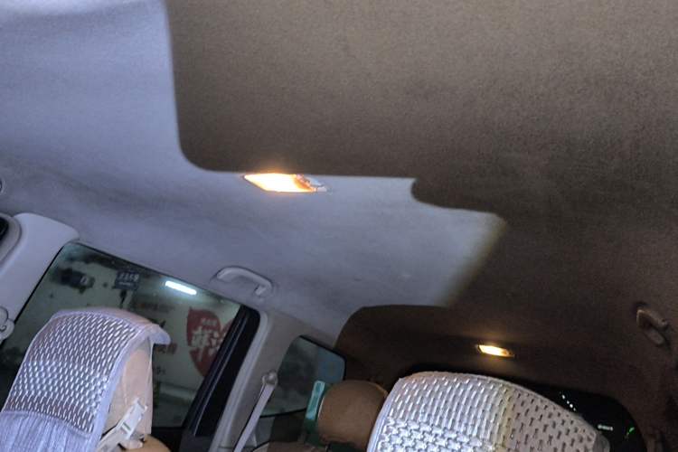 Used Nissan Geniss 2006 1.8L Manual Standard Edition Headliner