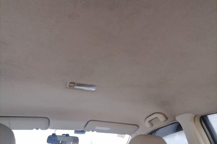 Used Nissan Geniss 2006 1.8L Manual Standard Edition Headliner
