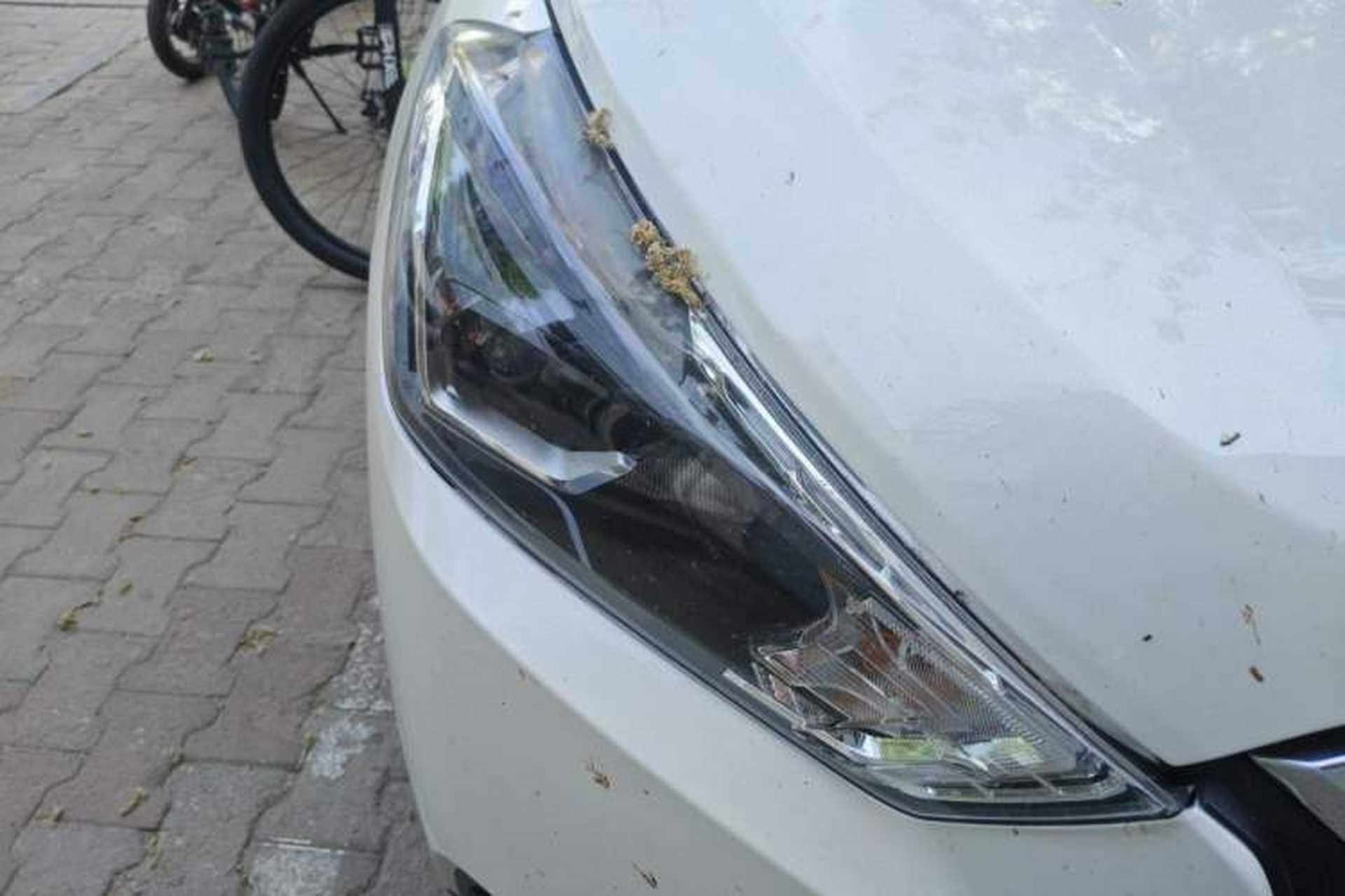 Used Nissan Kicks 2017 1.5L CVT Smart Drive Edition Right Front Headlight