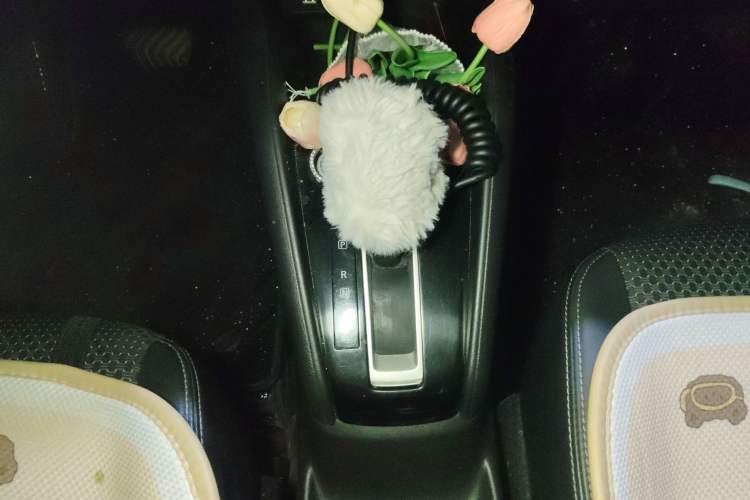 Used Nissan Kicks 2019 1.5L CVT Smart Connect Luxury Edition Gear Lever