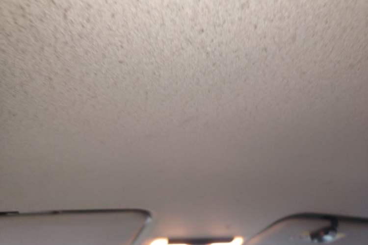 Used Nissan Kicks 2019 1.5L CVT Smart Connect Luxury Edition Headliner