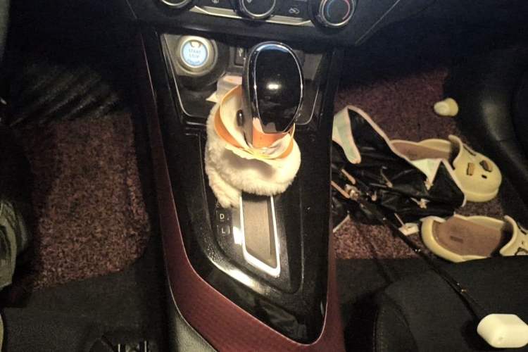 Used Nissan Lannia 2016 1.6L CVT Smart Cool Edition Gear Lever