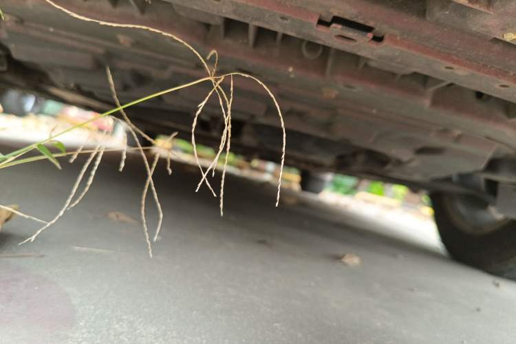 Used Nissan Lannia 2016 1.6L CVT Cool Edition Chassis Front