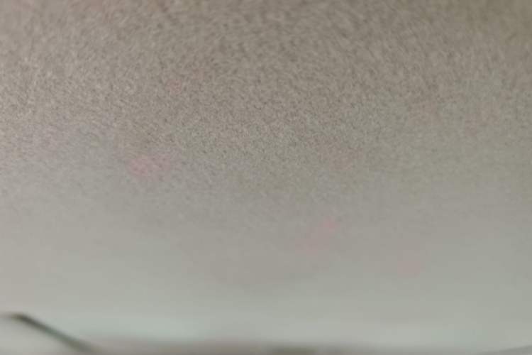 Used Nissan Lannia 2016 1.6L CVT Cool Edition Headliner